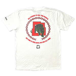 PXL "Disintegrate Racism" Tee -- Juneteenth 2022 Release